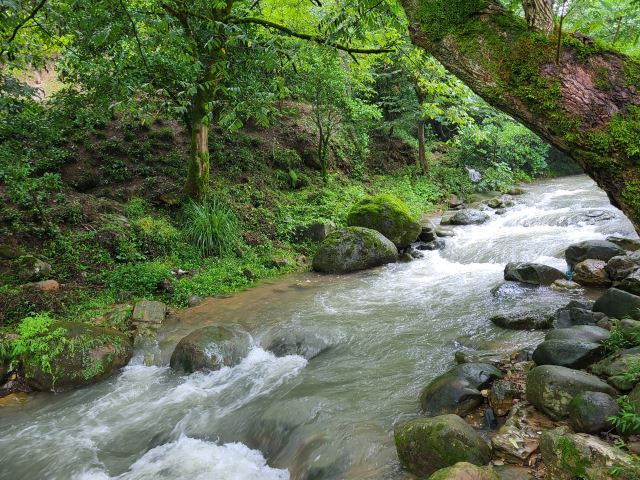 رودخانه ی کاسکولی