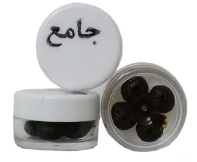 دارو جامع امام رضا علیه السلام 