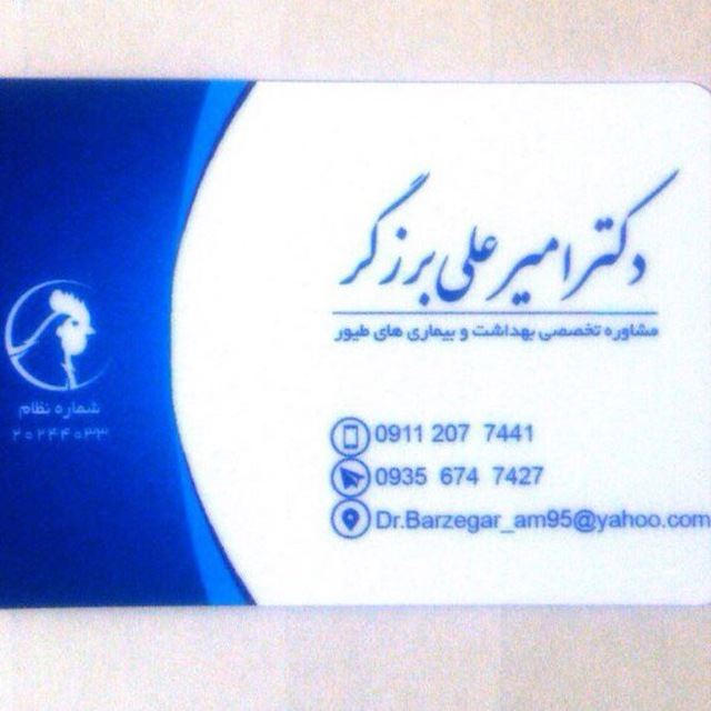 کلینیک و داروخانه دامپزشکی دکتر امیرعلی برزگر 