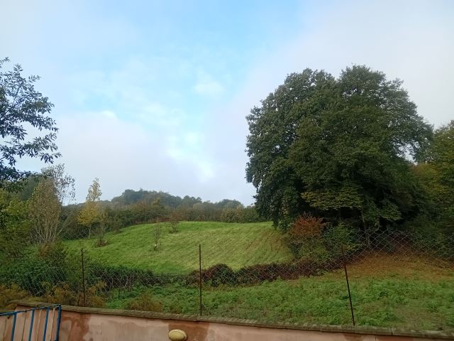 لوازم آرایشی بهداشتی