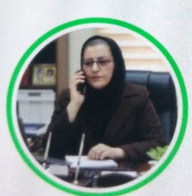 مشاوره و نماینده شرکت نانو و بیز