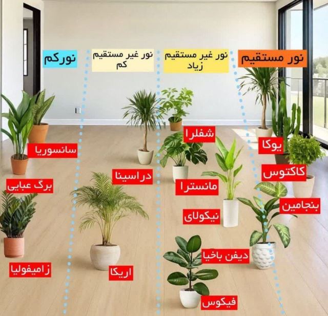 گل فروشی رضایی 