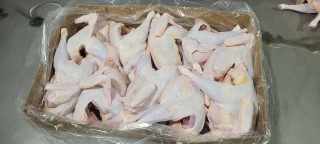 گوشت مرغ تخمگذار