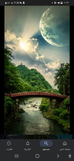 جنگل بی انتها