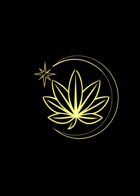 سالن زیبای لومینا