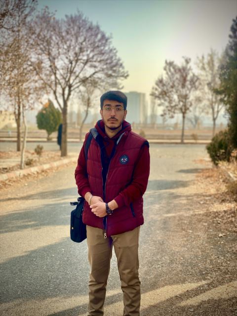 محمد علی پور 