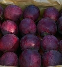 سیب پادنا 09132210147