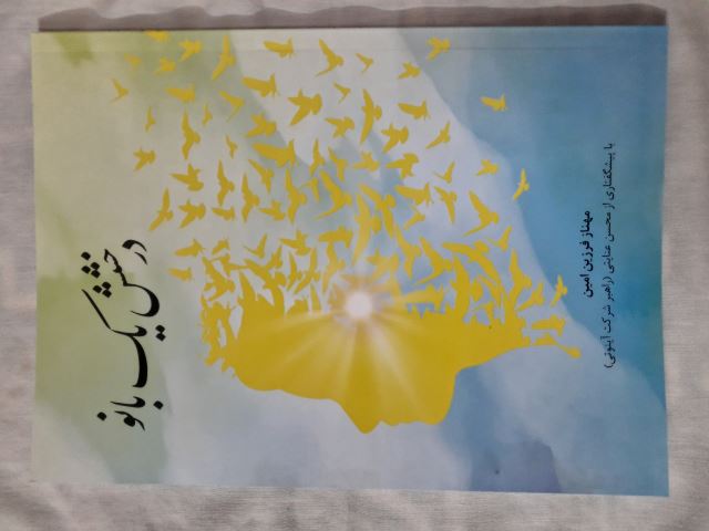 کتاب درخشش یک بانو