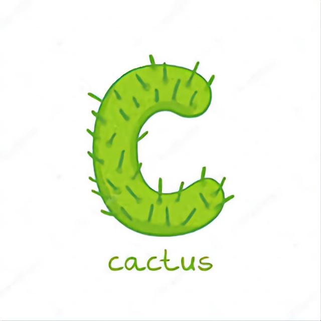 STUDIU GAMES CACTUS