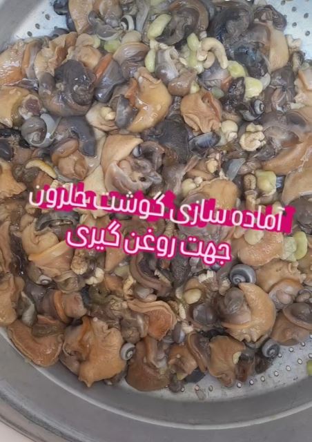 روغن حلزون