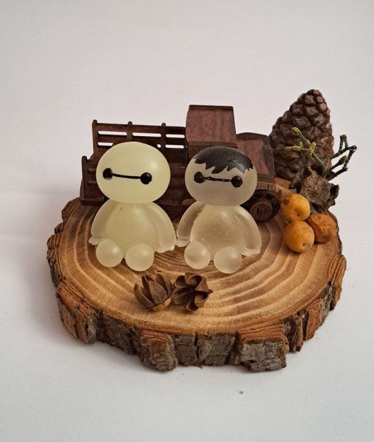 بیمکس جفتی و تکی