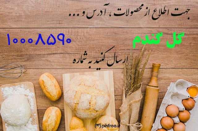 نانکده گل گندم سبزوار