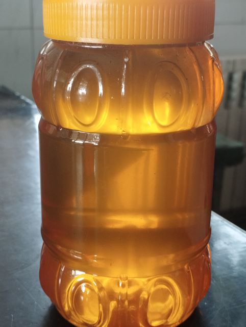 عسل گون شیراز قیمت قبل