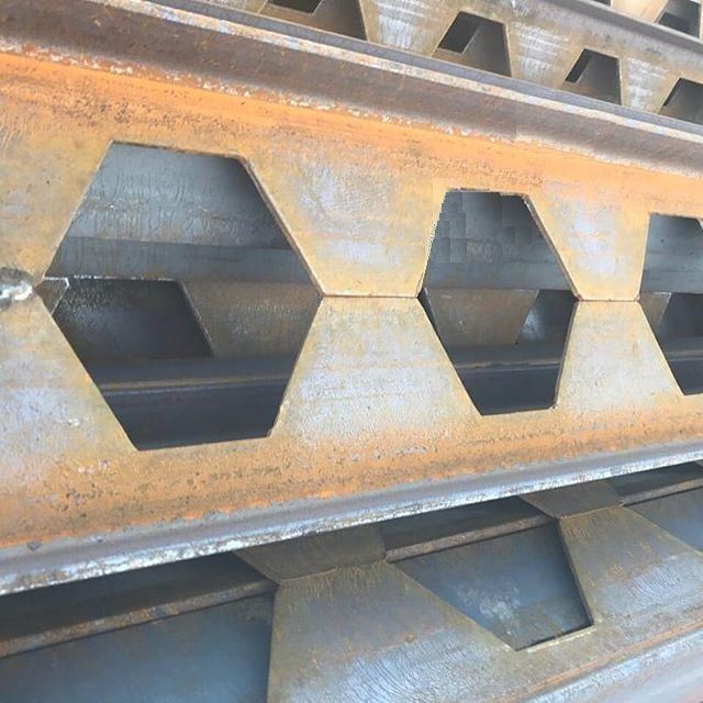 لانه زنبوری