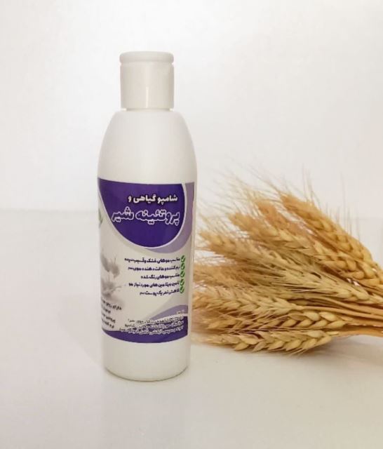 شامپو پروتیئنه شیر