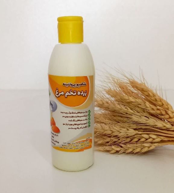 شامپو پروتئینه تخم مرغ