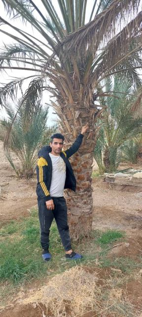 تجهیزات سالن ورزشی زکی