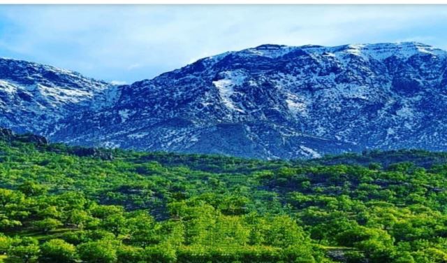 دندانپزشکان یاسوج