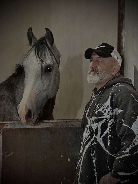 مجموعه پرورش اسب زاگرس فارس 