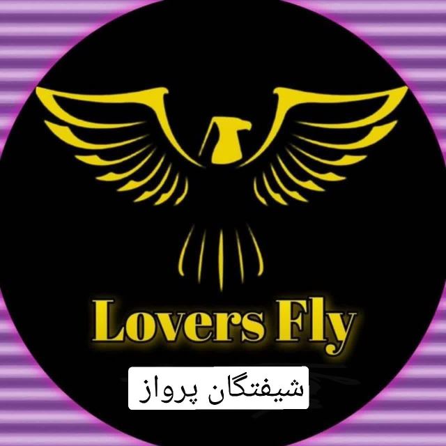 شیفتگان پرواز را میل به خزیدن نیست