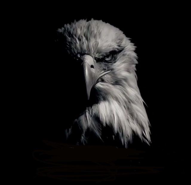 شیفتگان پرواز