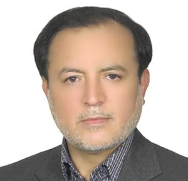 دکتر حمید امیرحسینی - عضو هیئت علمی مگا