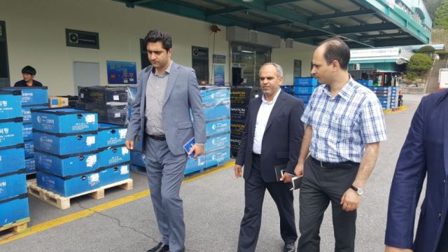 شرکت کووی کره جنوبی