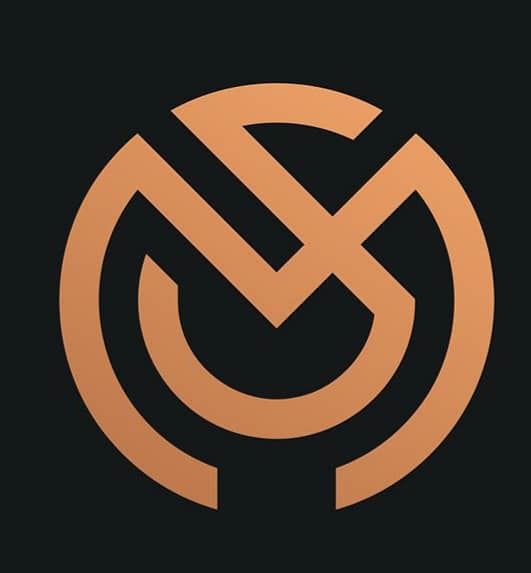 گروه بازرگانی مزون استون