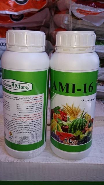 آمی 16 گرین مور اسپانیا(اسید آمینه)