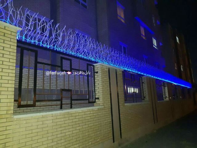 حفاظ شاخه گوزنی