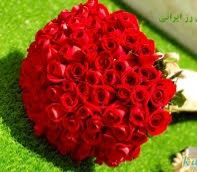 پخش گل و گیاه