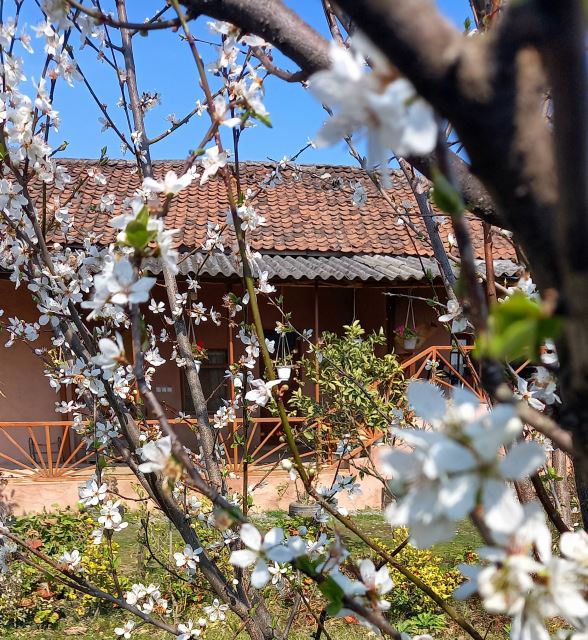 فضای حیاط اقامتگاه