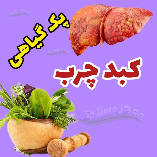 پک کبد چرب