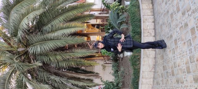 آمل تالار اهورا