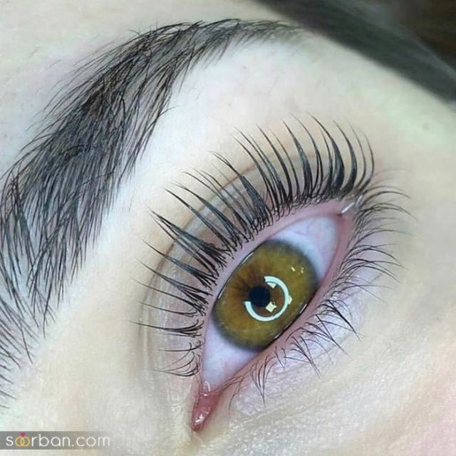 مژه ابرو رخ آرا