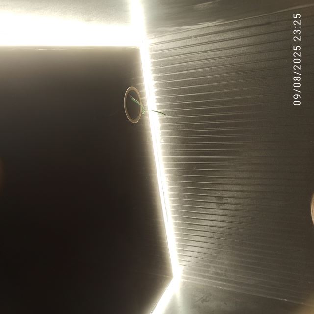 لاین و لاکر