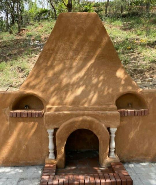 انواع نمای سنتی ارگانیک