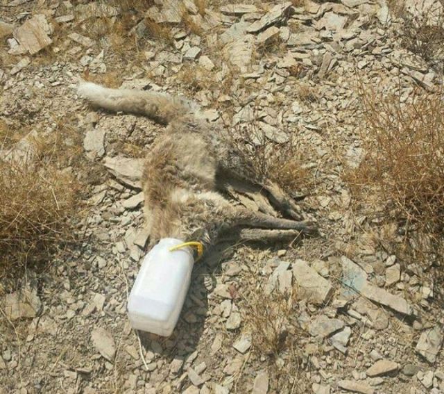 خرید و قیمت عایق رطوبتی