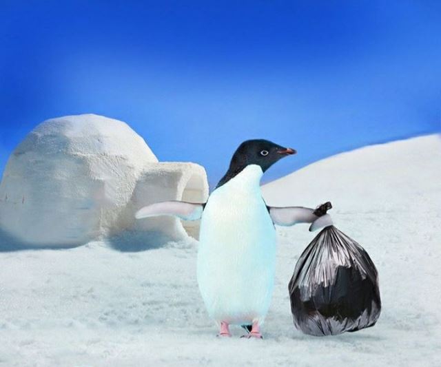 اکسا زیست تخریب پذیر