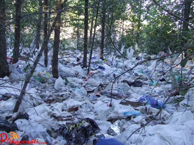 خرید و قیمت عایق رطوبتی