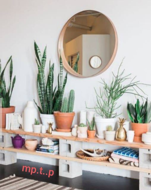 چیدمان گلدان در دکوراسیون منزل 