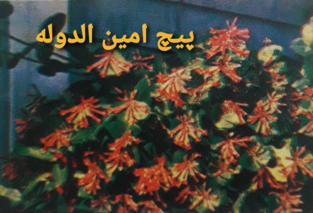 پیچ امین الدوله 