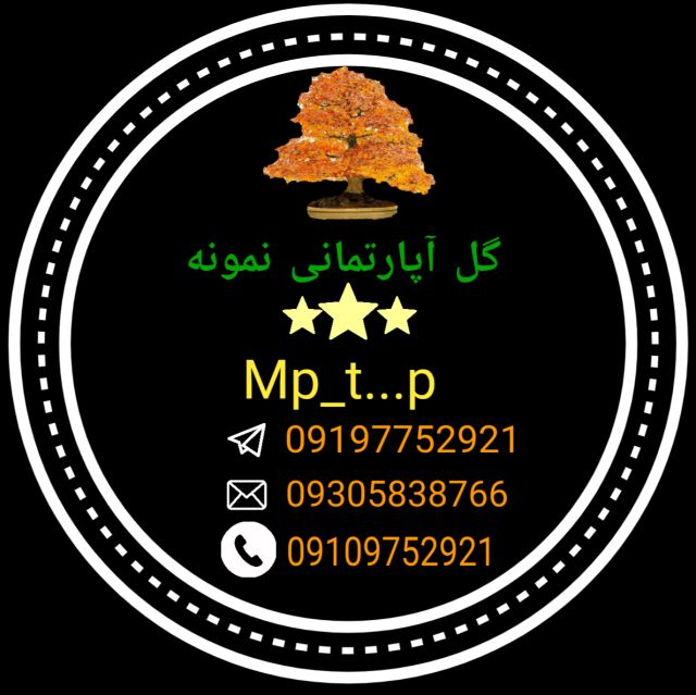 گل نمونه mp_t...p