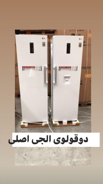 دوقلو الجی اصلی