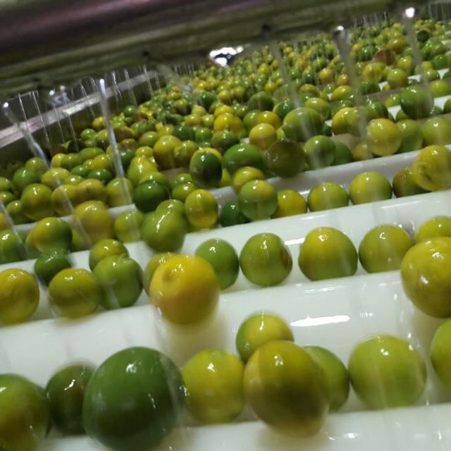 دستگاه مارپیچ انتقال مواد در اصفهان