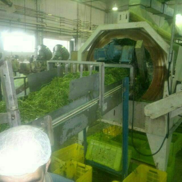 بهترین نوار نقاله انتقال مواد غذایی