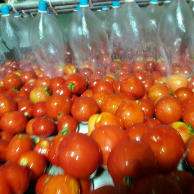 نوار نقاله انتقال مواد در اصفهان