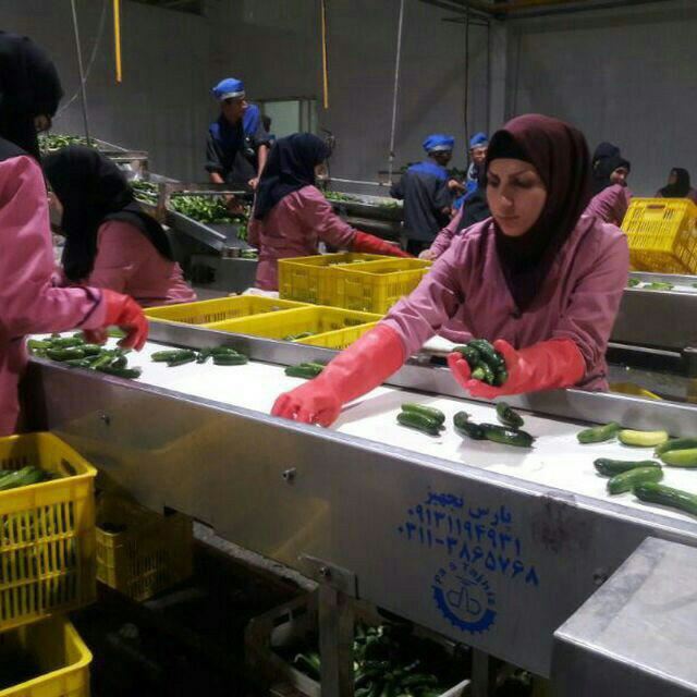 دستگاه مارپیچ انتقال مواد در اصفهان