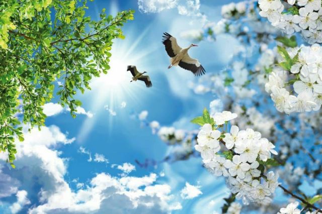 کناف در کرج