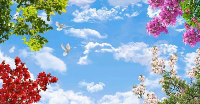 کناف در کرج